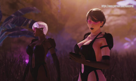 Searching for the crash site 2025 [HUNICORD]