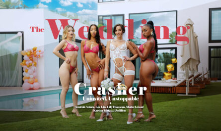 The Wedding Crasher - Uninvited, Unstoppable [LifeSelector]