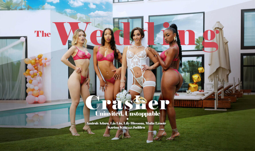 The Wedding Crasher – Uninvited, Unstoppable [LifeSelector]